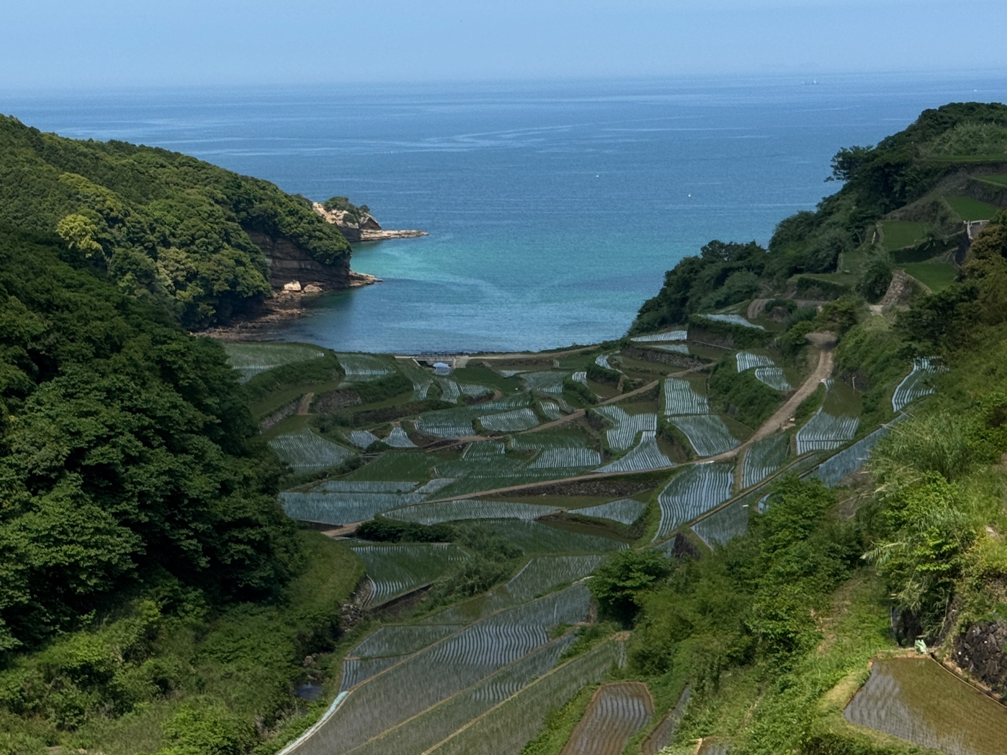 海へ開く棚田の風景